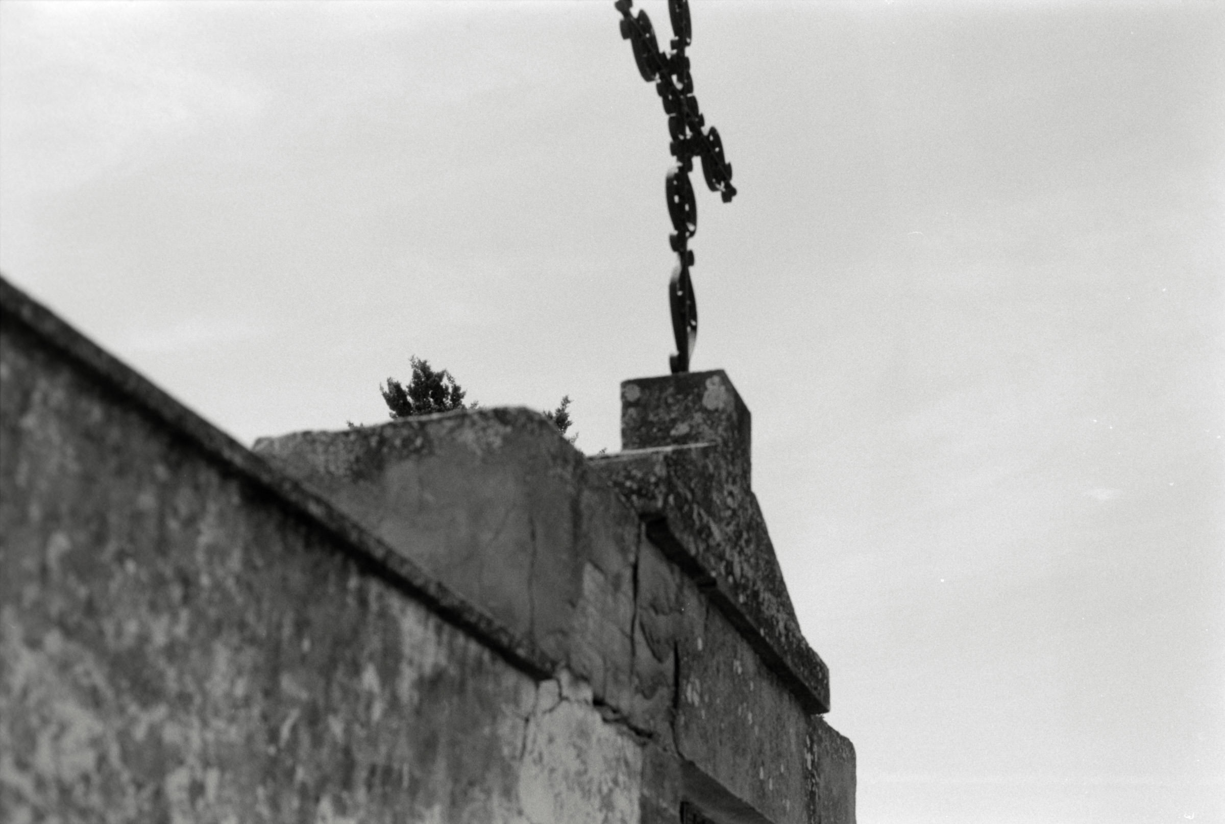 AHP F1995 05 006 sc240818 img31 NLP